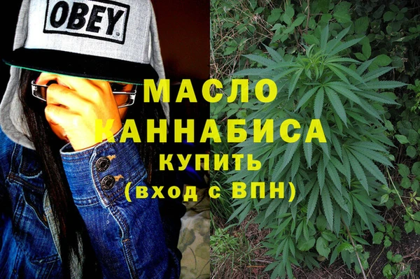 гидра Гусев