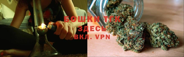 гидра Гусев
