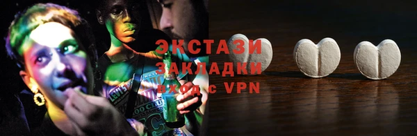гидра Гусев