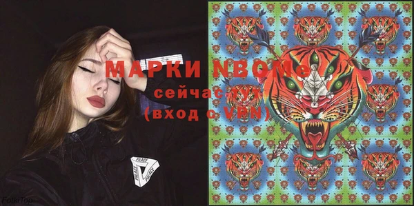 гидра Гусев