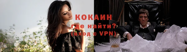 СК Надым