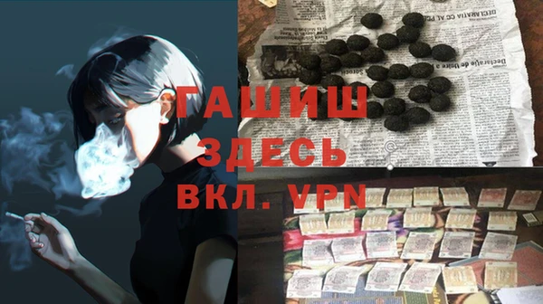 гидра Гусев