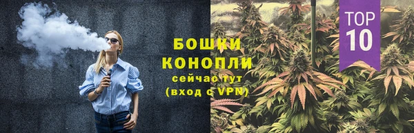 стаф Гусь-Хрустальный