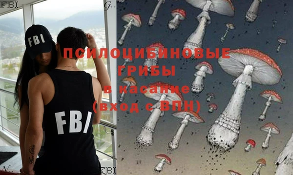 стаф Гусь-Хрустальный