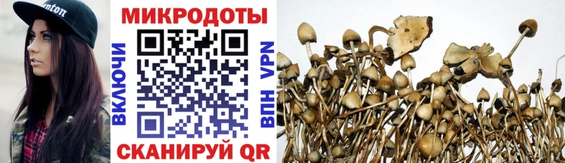наркота  Нея  Галлюциногенные грибы Cubensis 